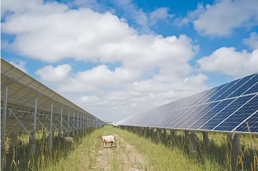 湖北意昂F凯捷绿色能源有限公司