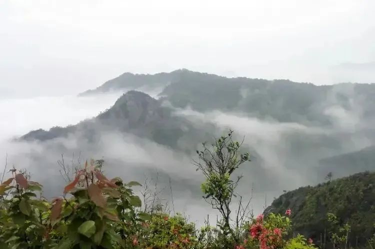 湖北意昂F凯捷绿色能源有限公司